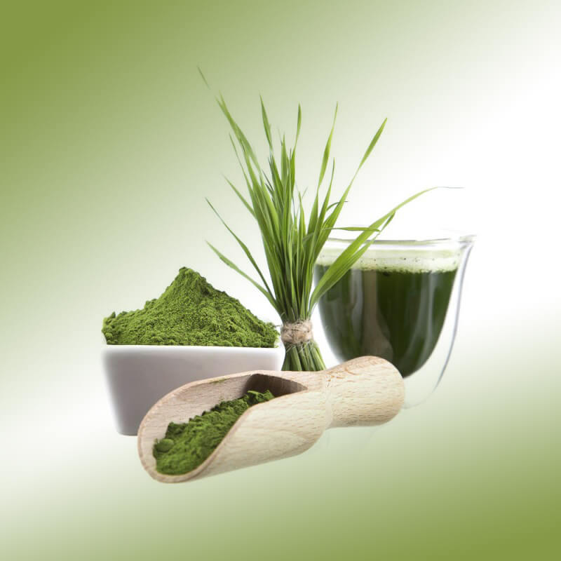 Produktbild der Werbung für Gerstengrassaftpulver