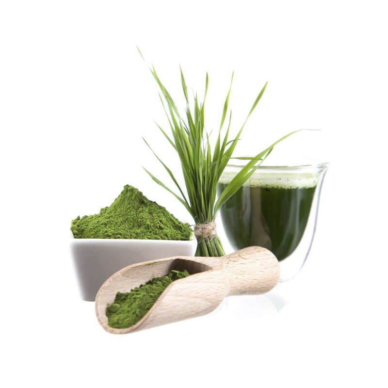 Produktbild Gerstengrassaftpulver mit Pflanzenhalm