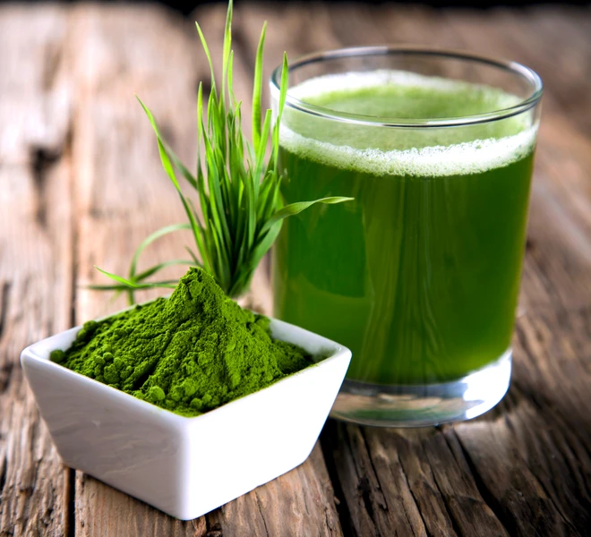 Bild zum Rezept mit Gerstengrassaftpulver und Glas mit grünem Saft, Visualisiert den Reichtum an Chlorophyll